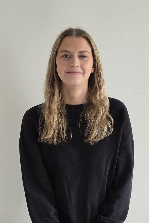 Felicia Wehlin Landell, Revisor